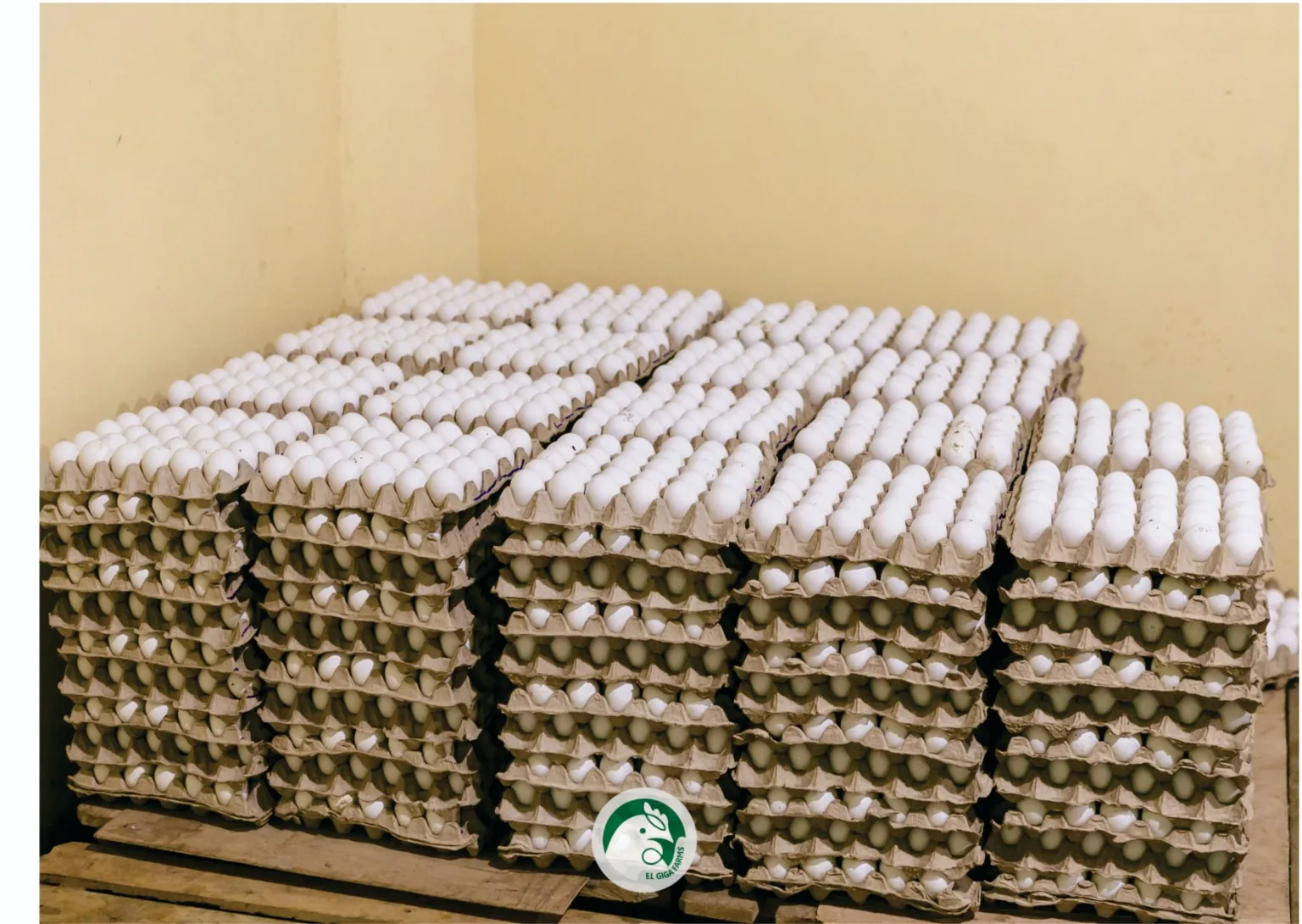 Stacks of EL Giga egg trays ready for market