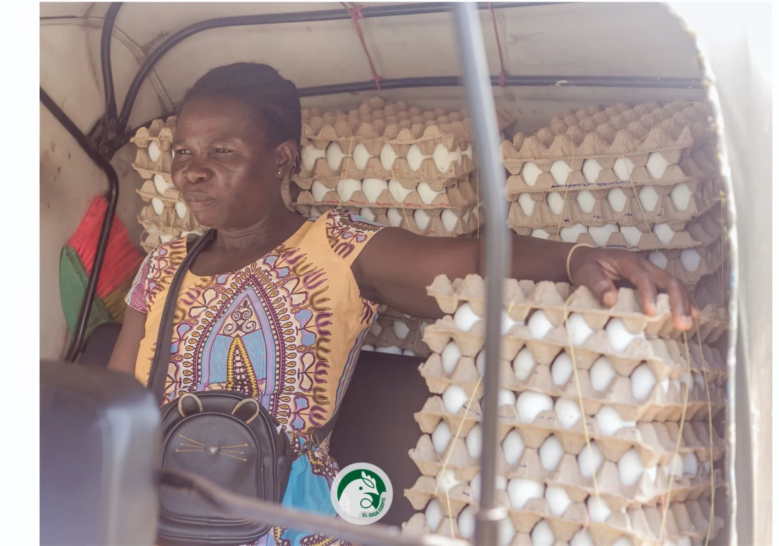 Trays of EL Giga eggs arranged for delivery